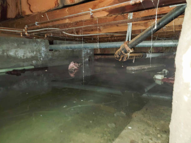 Best Water damage contractors near me  in Mianna, AR