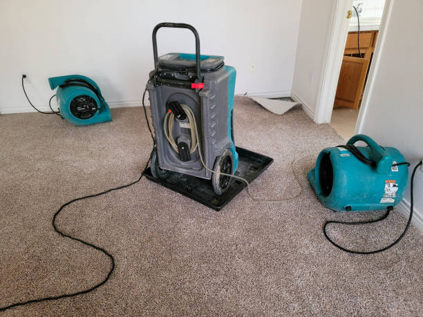Best Local water damage restoration  in Mianna, AR