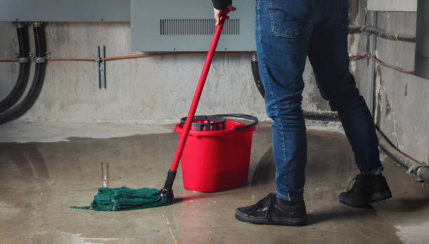 Best Ceiling water damage repair  in Mianna, AR