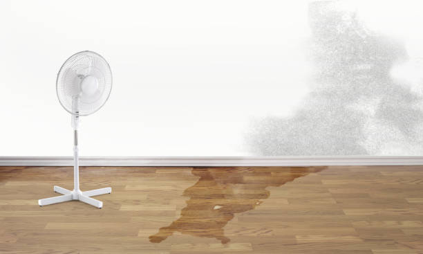 Best Flood damage cleanup  in Mianna, AR
