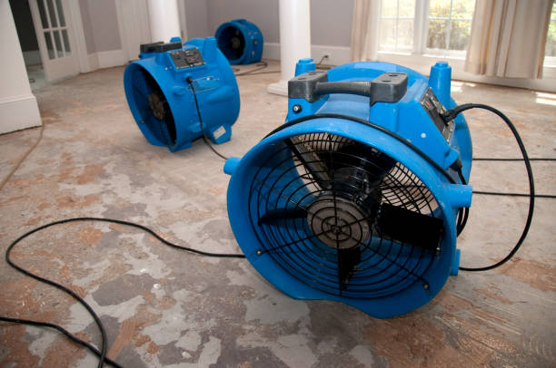 Water damage restoration process in AR